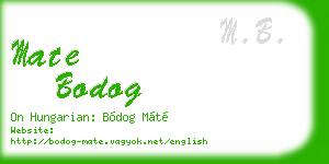 mate bodog business card